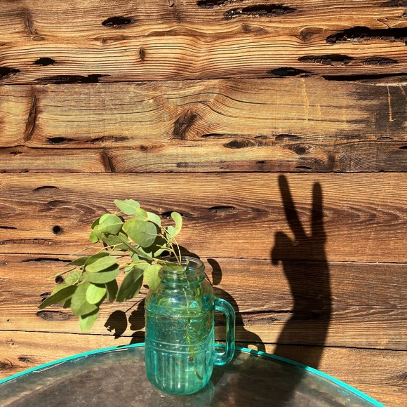 ✨DESERT DARLING CO.✨ - Picture 12 of 12